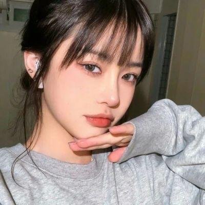 法网追击