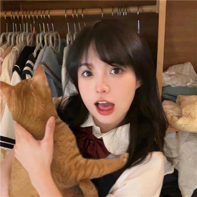 猫侍2